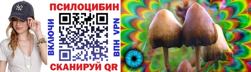 Псилоцибиновые грибы Psilocybine cubensis Шебекино